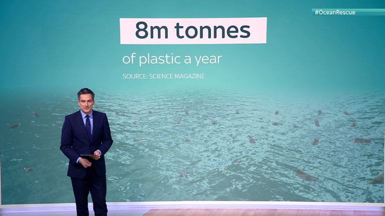 Ocean pollution statistics