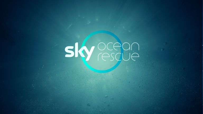 Sky ocean rescue campaign banner