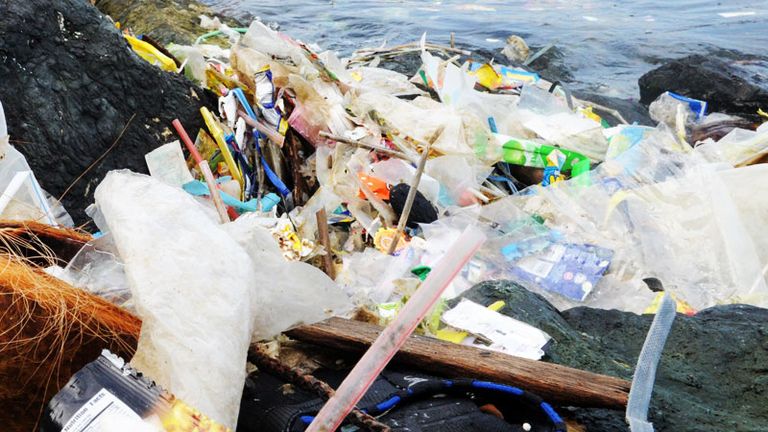 Plastic rubbish piles up on the coastline.