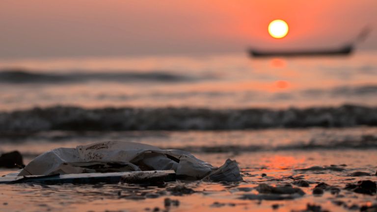 A plastic bag washes up on a beach in India.