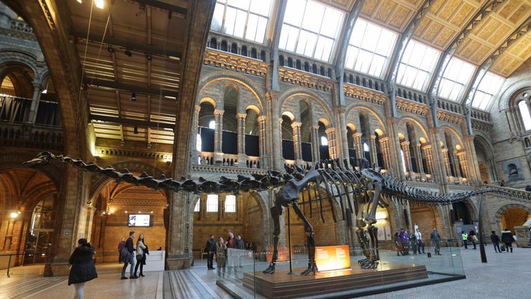 The replica model of Dippy the Diplodocus on display in Hintze Hall at the Natural History Museum, as visitors have just hours left to enjoy the exhibit before work to dismantle it begins