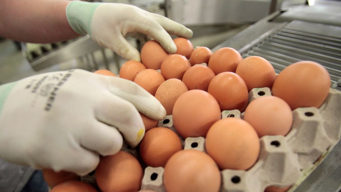 EU calls emergency summit to deal with egg contamination scare