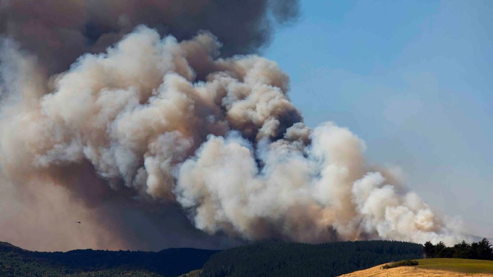New Zealand wildfires see more than 1,000 flee their homes World News