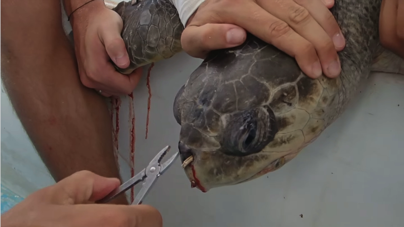 McDonald's boss denies paper straws dissolve in drinks Business News