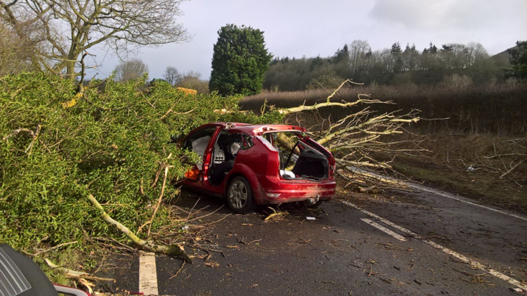 Storm Doris: Pensioner dies three days after tree fell on car | UK News ...