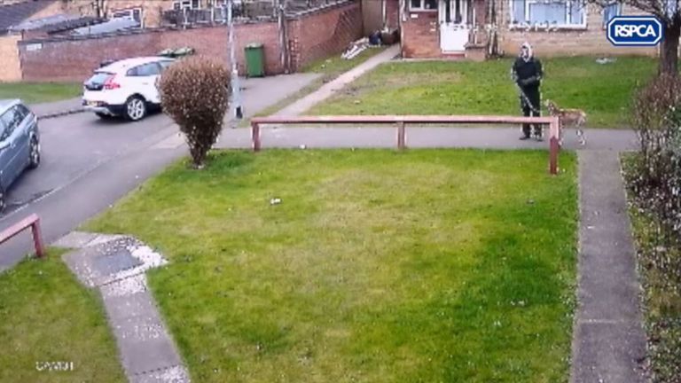 A man is seen on CCTV abandoning a lurcher