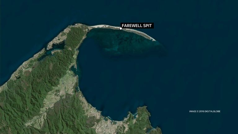 Farewell Spit, where hundreds of whales have stranded in the past few days