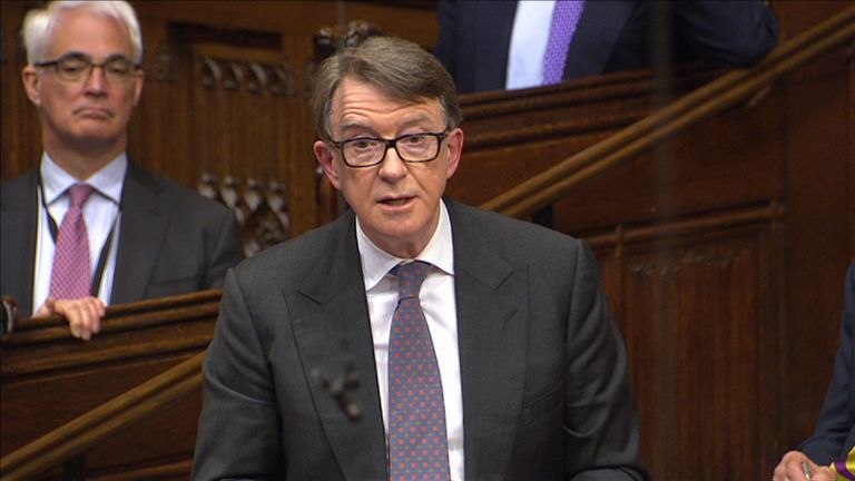 Lord Mandelson speaks during the House of Lords debate on Brexit