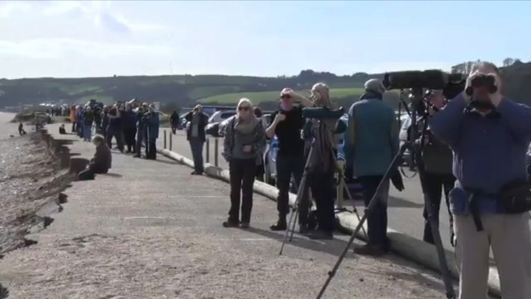 Photographers and wildlife watchers attempt to spot the whale in Slapton Sands