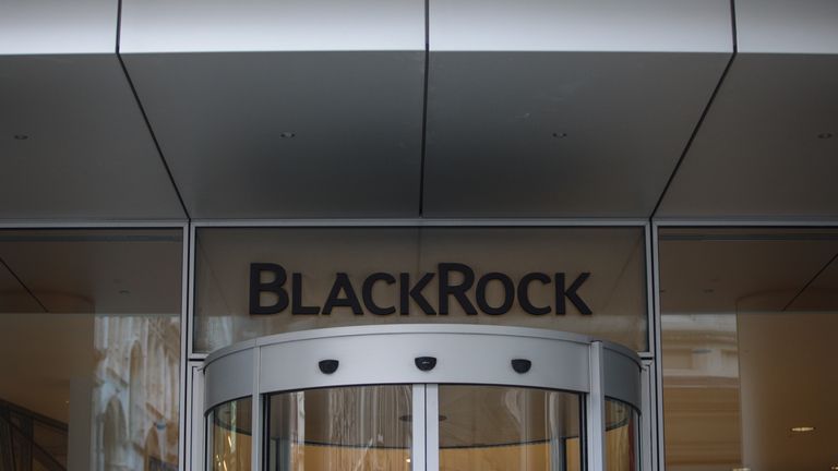 BlackRock Hires Ex-Treasury Official To Spearhead Brexit Response ...