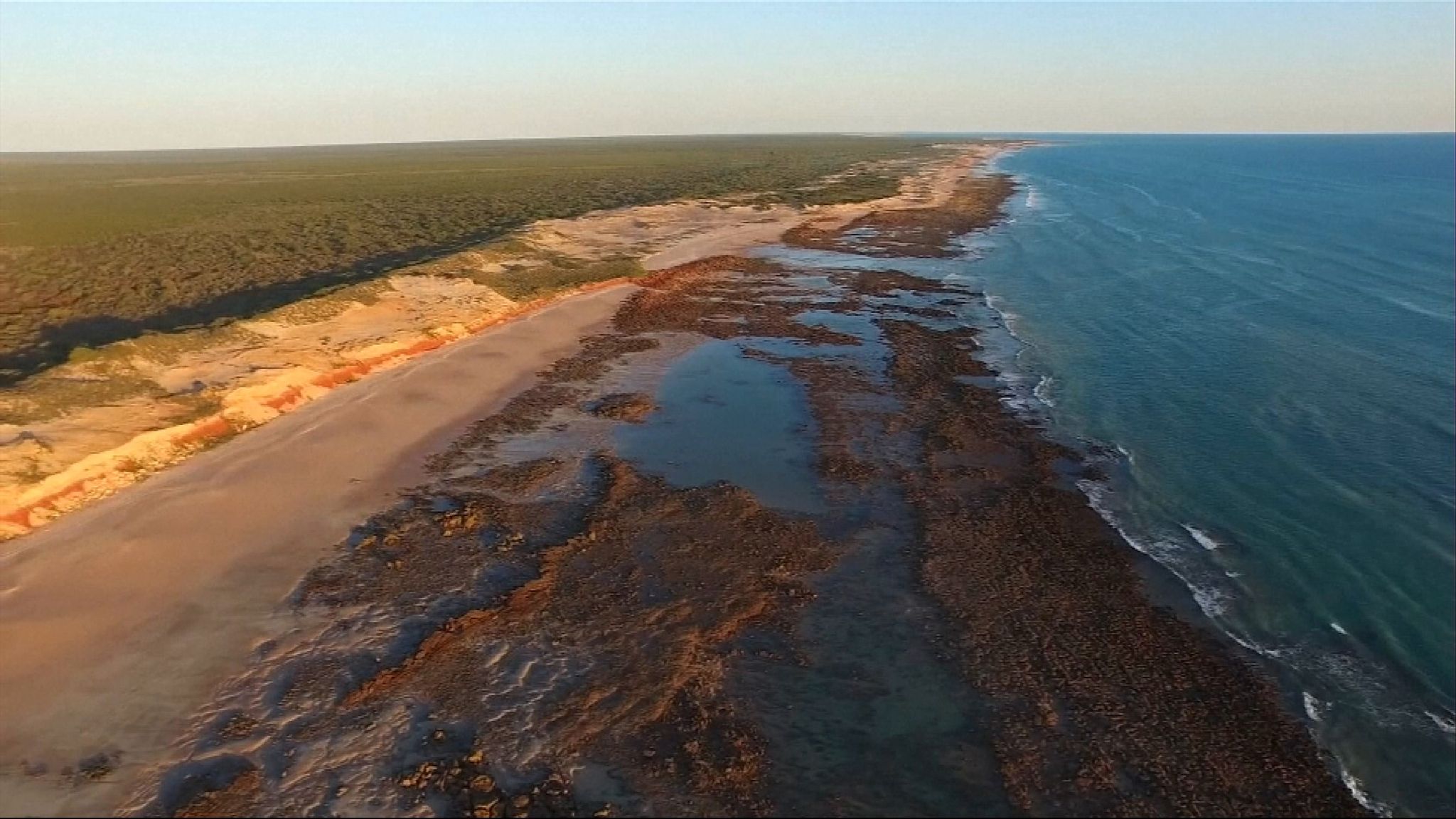 World s Largest Dinosaur Footprint Found In Western Australia World world-s-largest-dinosaur-footprint-found-in-western-australia-world