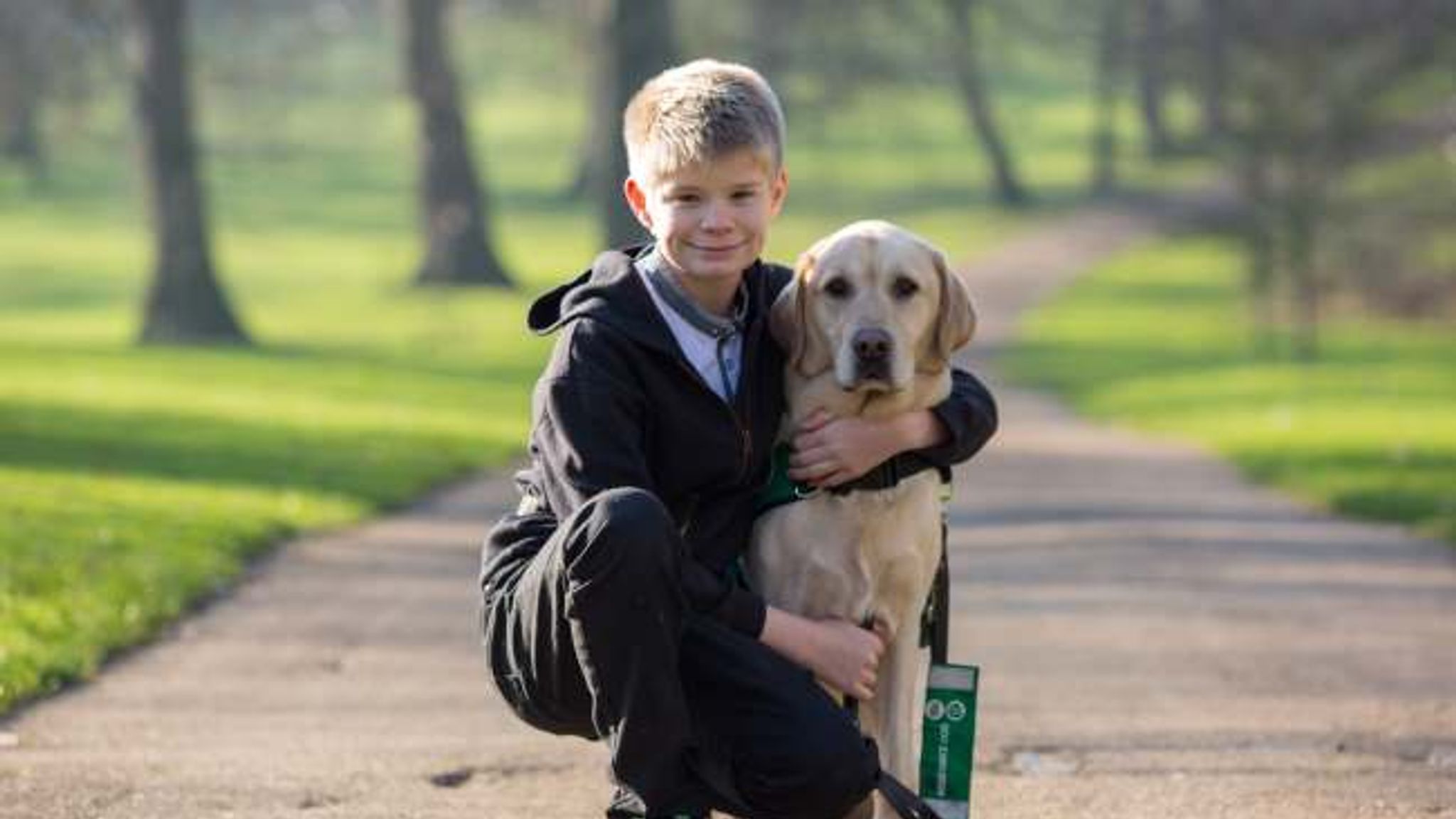 Autistic boy's 'guardian angel' Labrador retriever competes for Crufts ...