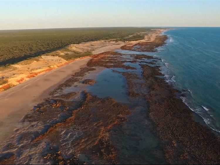  World s Largest Dinosaur Footprint Found In Western Australia