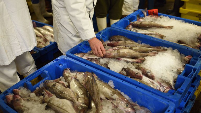 Buyers inspect boxes of fresh fish in Grimsby Fish Market 