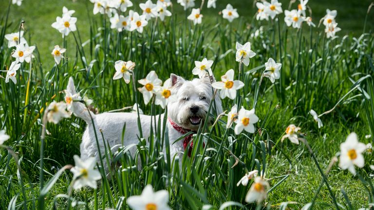 Enjoying the sunshine in Green Park, London