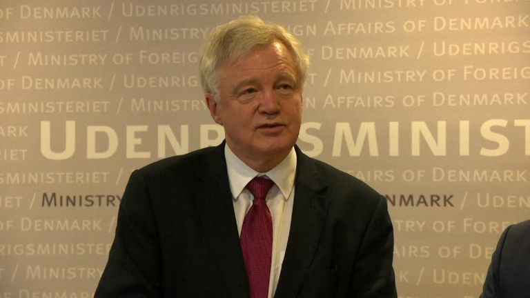 Brexit Secretary, David Davis