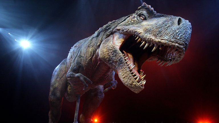 Fearsome Tyrannosaurus rex was a sensitive lover, say scientists ...