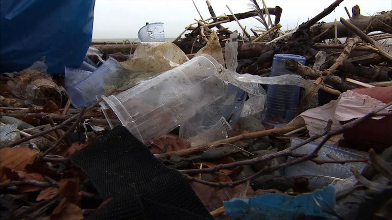Discarded plastic blights the country&#39;s beaches and waterways