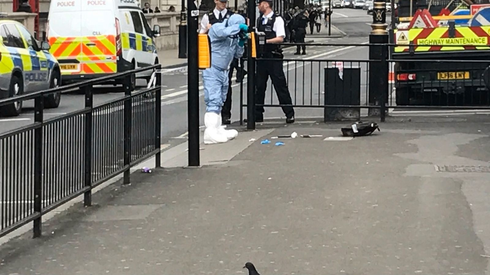 Man arrested in Westminster security alert | UK News | Sky News