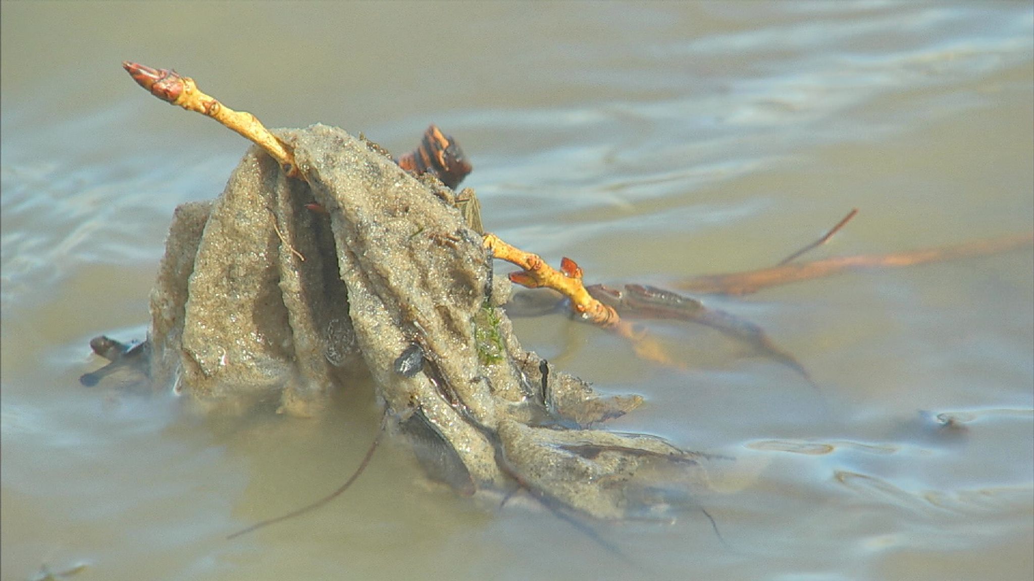 'Explosion' of wet wipes found near rivers UK News Sky News