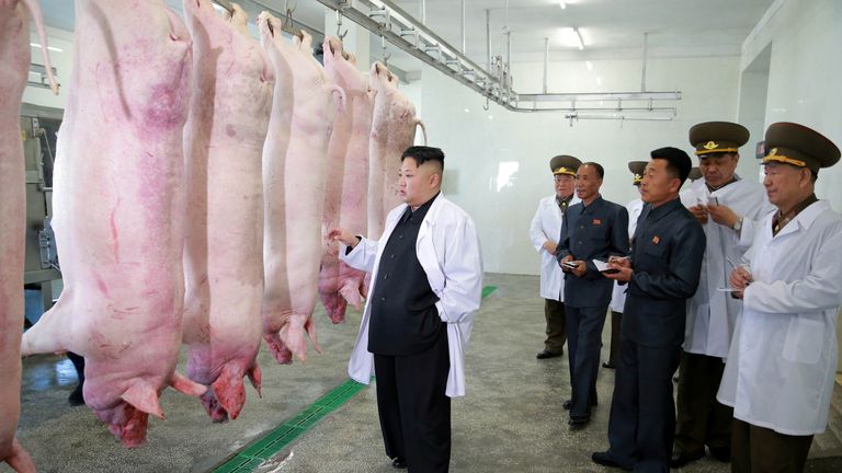 North Korean Leader Kim Jong Un visited the Thaechon Pig Farm