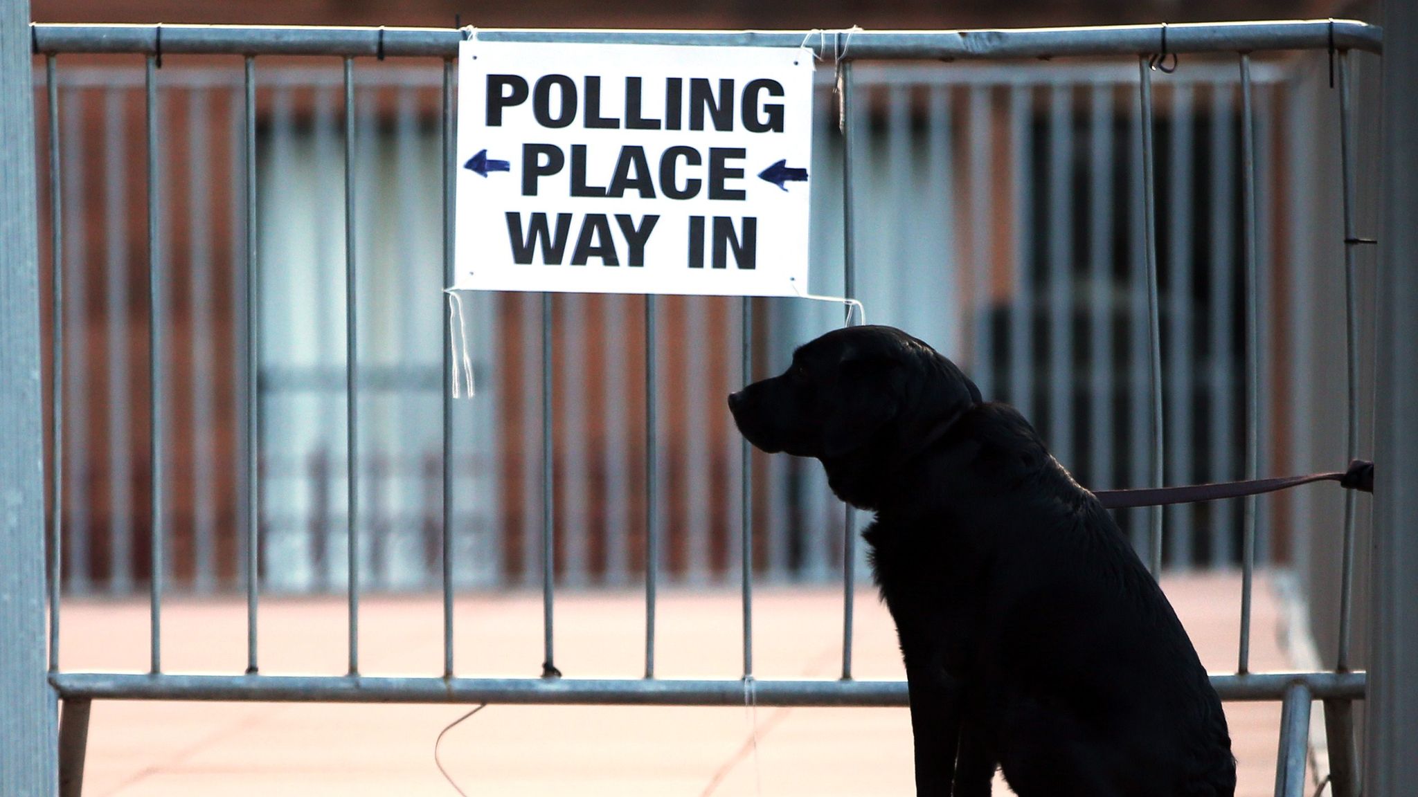 Можно ли с собакой на избирательный участок