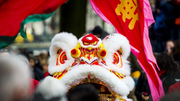 Chinese inhabitants of Amsterdam celebrate the New Year with a traditional lion dance in the centre of the Chinese area in Amsterdam, on February 1, 2014