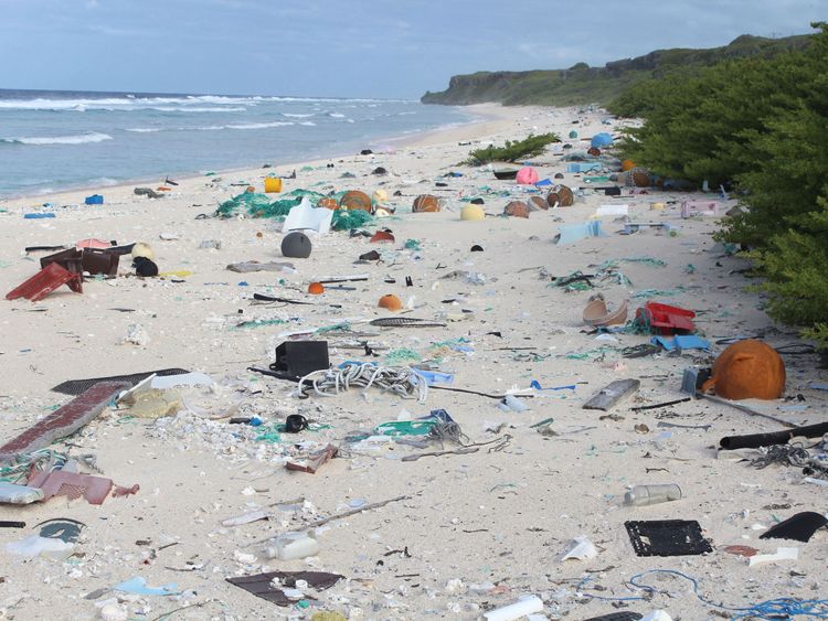 One of the beaches on Henderson Island is littered with plastic