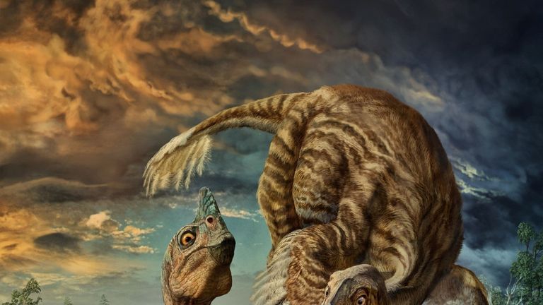 An artist's impression of Beibeilong sinensis