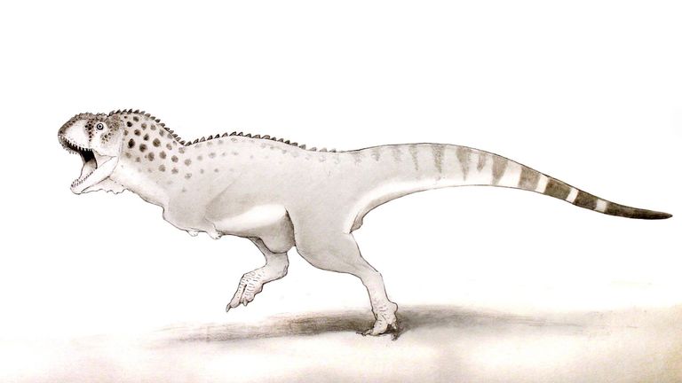 An artist's impression of the Chenanisaurus barbaricus