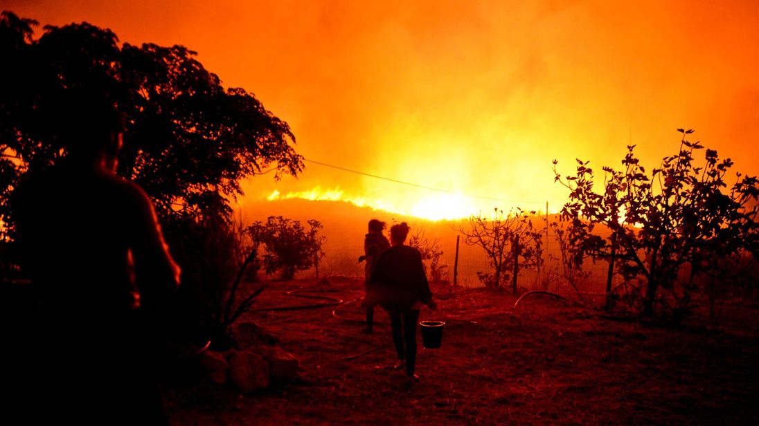 At least 61 killed as forest fires rage across Portugal