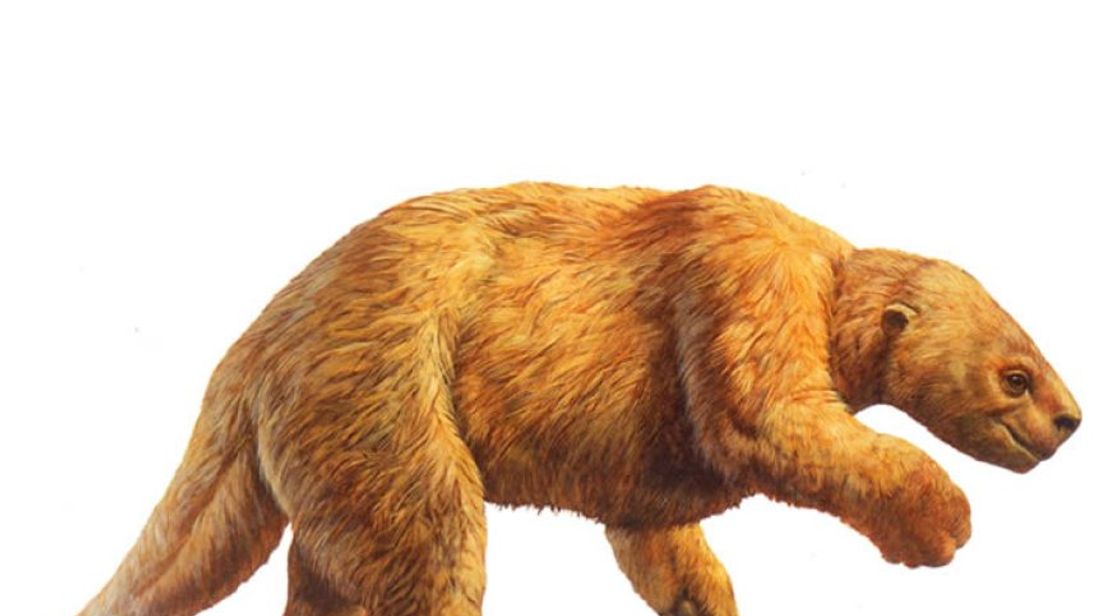 Giant sloth bone found by workmen in Los Angeles