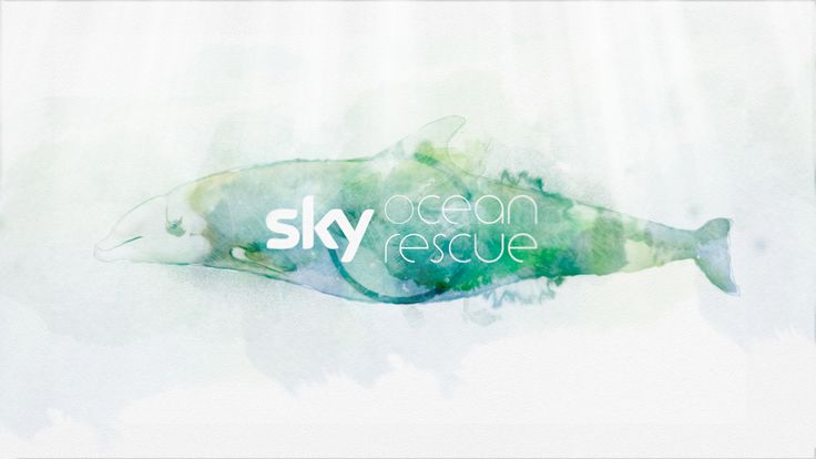 Sky Ocean Rescue - Plastic Whale