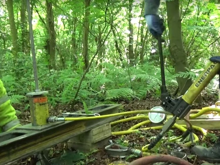 Scientists pump CO2 into UK forest to measure effect of climate change