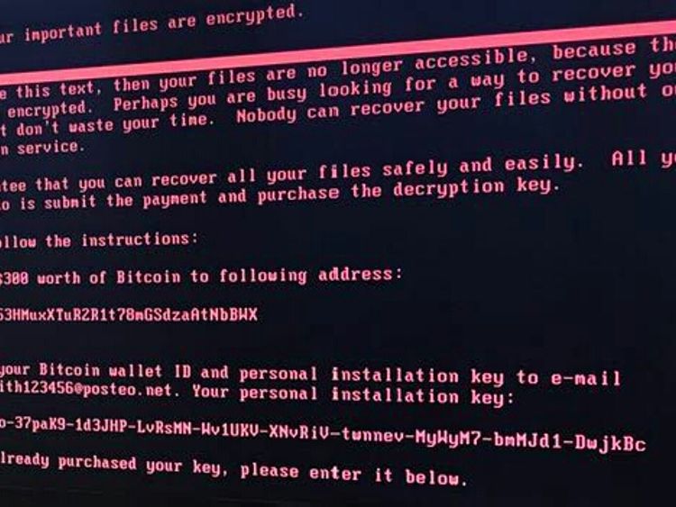 Picture of a computer screen displaying the message shown to hacked computers