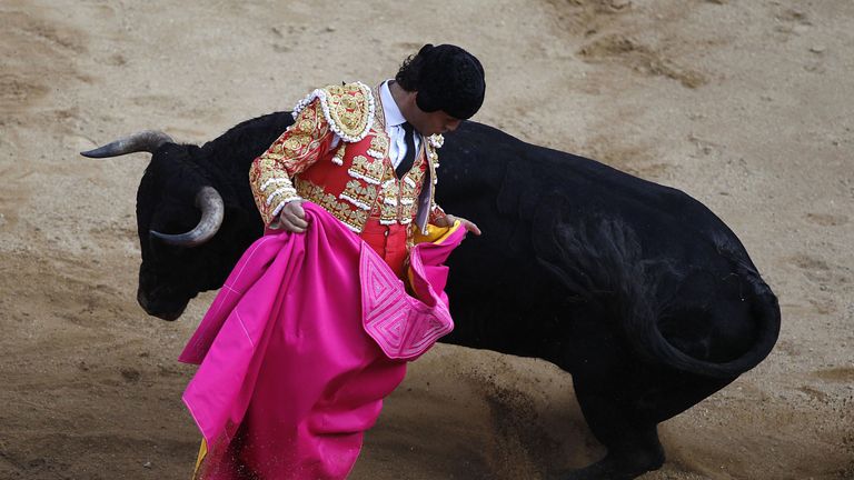 Spanish bullfighter Ivan Fandino performs during a bullfighting festival in Colombia