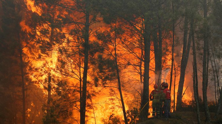 A fire chief has questioned whether the devastating blaze occurred naturally