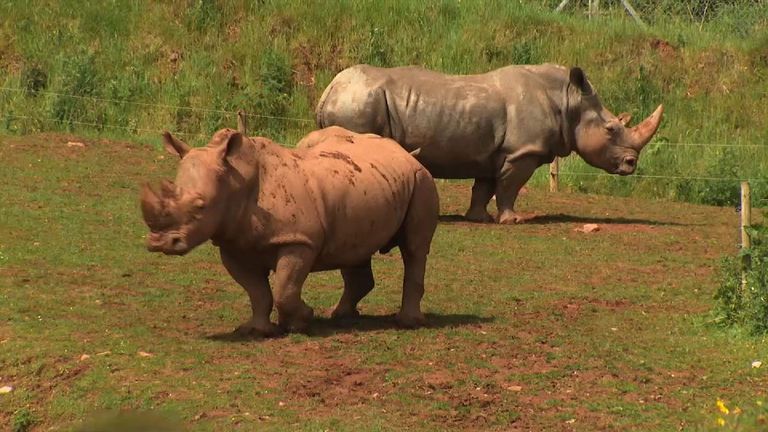 The controversial attraction in Cumbria has been granted a new licence