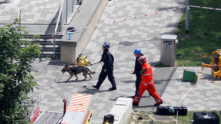 Emergency services personnel and a dog at the scene 