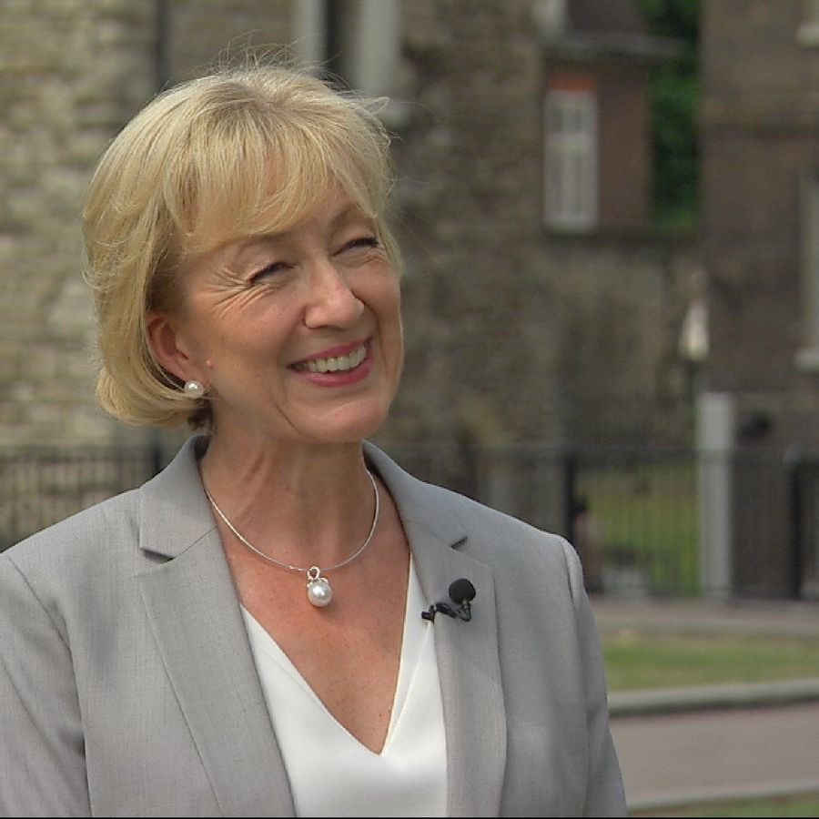 Andrea Leadsom being interviewed outside Westminster.