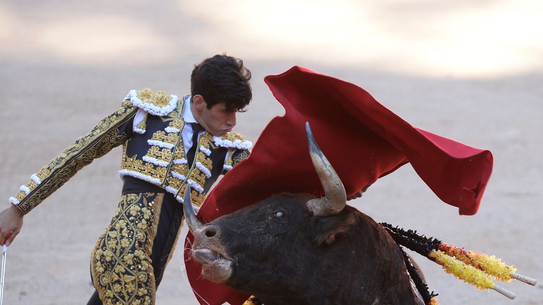 Spanish matador Alberto Lopez Simon performs a pass on a Victoriano del Rio Cortes' fighting bull during the sixth bullfight of the San Fermin Festival in Pamplona, on July 12, 2017. The festival is a symbol of Spanish culture that attracts thousands of tourists to watch the bull runs despite heavy condemnation from animal rights groups. / AFP PHOTO / ANDER GILLENEA (Photo credit should read ANDER GILLENEA/AFP/Getty Images)