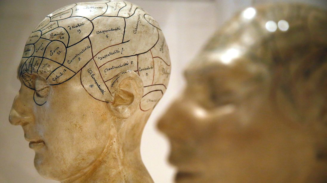 Plaster phrenological models of heads, showing different parts of the brain, are seen at an exhibition at the Wellcome Collection in London March 27, 2012