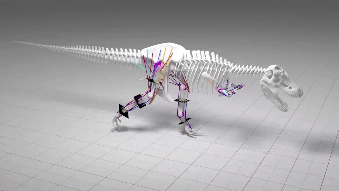 t rex slow
