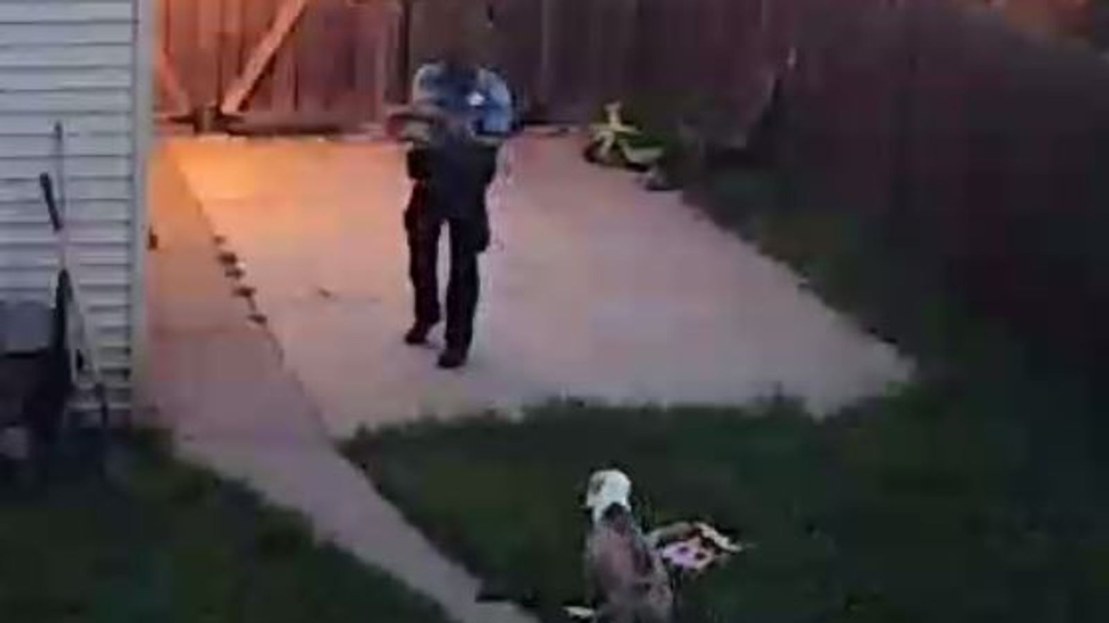 Family's anger as policeman shoots dogs during burglary call World