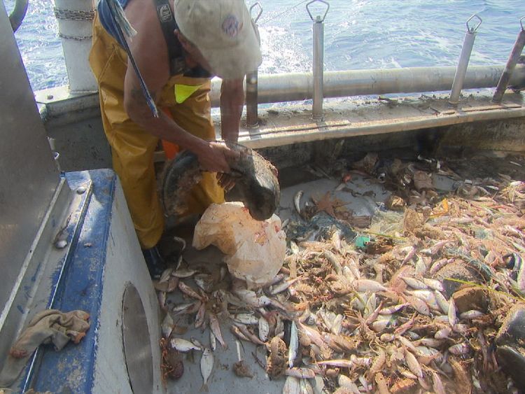 How plastic waste is turned into eco-fashion