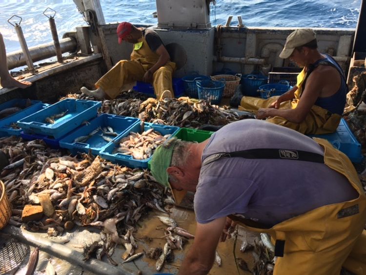 Fishermen haul plastic bottles out of the ocean to recycle the materials so they can be used to create fabric for clothes