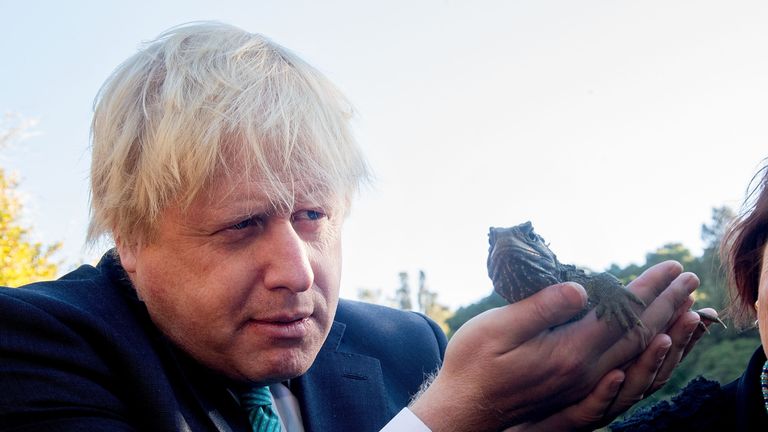 Boris Johnson holds a Tuatara lizard during a trip to an ecosanctuary in New Zealand