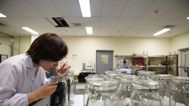 Testers have to pass blind smell tests to get the job