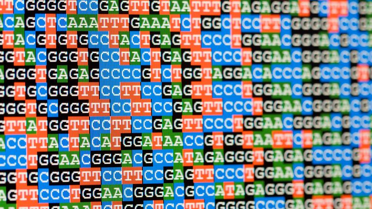 Whole genome sequencing involves unscrambling the entire book of genetic instructions that make us what we are
