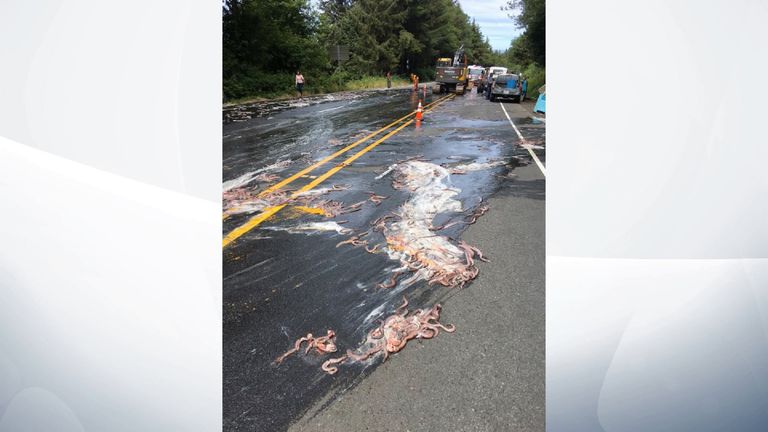 The eels transformed the highway into a slip road. Pic: Depoe Bay Fire District